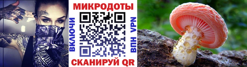 купить наркотик  Удомля  Галлюциногенные грибы прущие грибы 